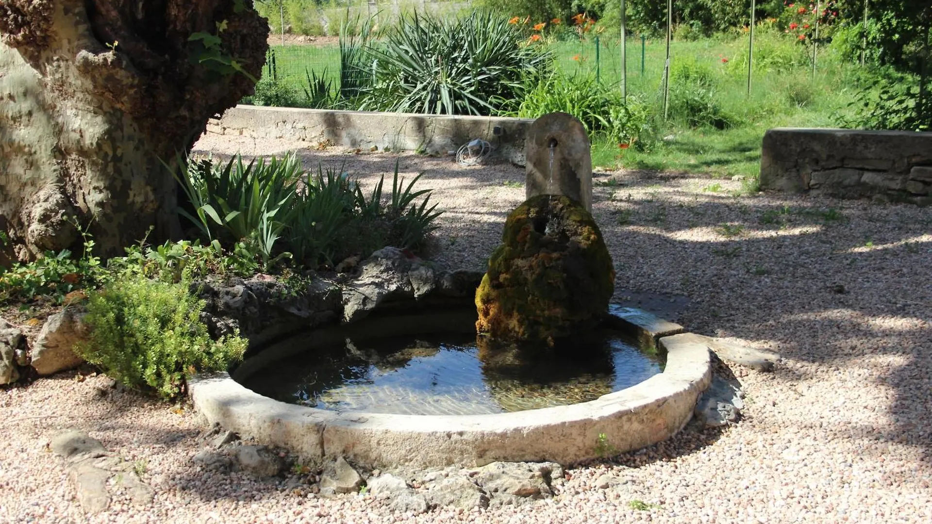 Paradou De Saint Joseph Bastide Provencale Piscine Brignoles Villa