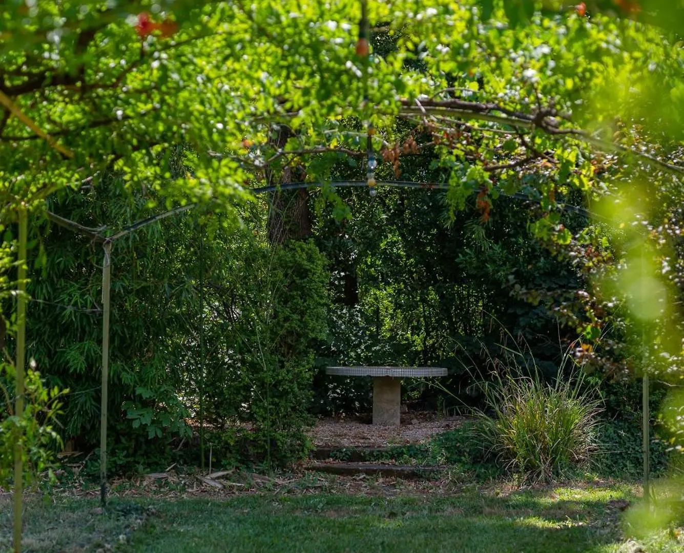 Paradou De Saint Joseph Bastide Provencale Piscine Brignoles